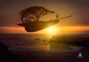 Distant Shores